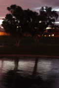 Arizona Night
