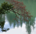 Blue Calm