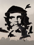 Che