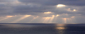 Del mar Rays