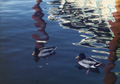 Ducks