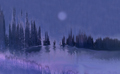 Forest Fog