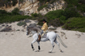 Horseman