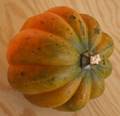 Orange Green