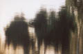 Our reflection