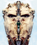 Rock Face