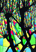 Stainglass