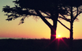 Sunset Ray