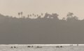 Surfers