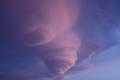 Vortex