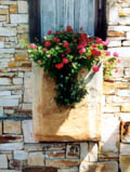 Window